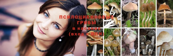 марки nbome Каменка