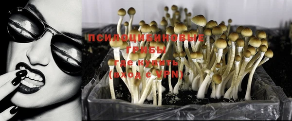 spice Каменск-Шахтинский
