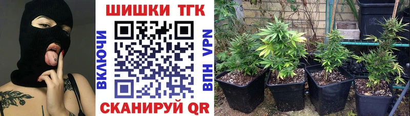 Купить закладки  Невельск  Бошки Шишки OG Kush 